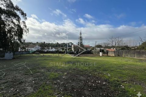 Terra a Turquel, Leiria, Turquel - € 67.500 | Ref: 712101-190 - foto 2