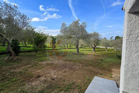 Villa i Sassari, Sassari, Sassari - € 268.000 | Ref: 13907 - foto 38
