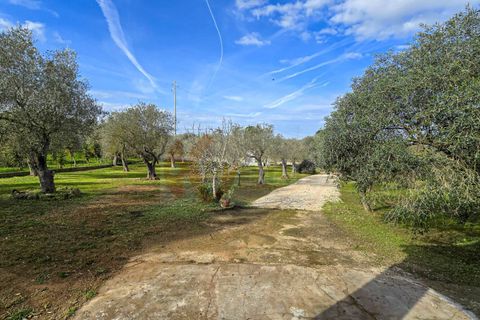 Villa i Sassari, Sassari, Sassari - € 268.000 | Ref: 13907 - foto 39