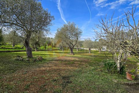 Villa i Sassari, Sassari, Sassari - € 268.000 | Ref: 13907 - foto 42