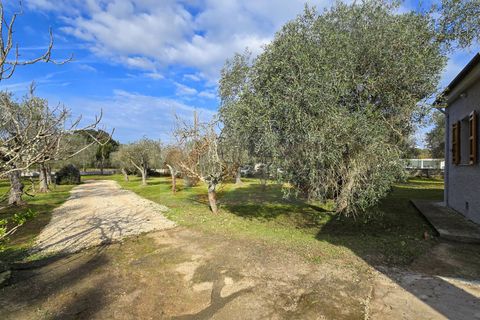 Villa i Sassari, Sassari, Sassari - € 268.000 | Ref: 13907 - foto 43