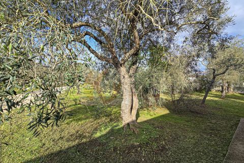 Villa i Sassari, Sassari, Sassari - € 268.000 | Ref: 13907 - foto 44