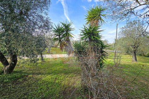 Villa i Sassari, Sassari, Sassari - € 268.000 | Ref: 13907 - foto 46