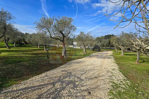 Villa i Sassari, Sassari, Sassari - € 268.000 | Ref: 13907 - foto 47