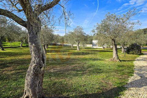 Villa i Sassari, Sassari, Sassari - € 268.000 | Ref: 13907 - foto 48