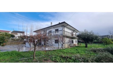 Villa i Castelo Branco, Castelo Branco, Castelo Branco - € 450.000 | Ref: CAS_185 - foto 4