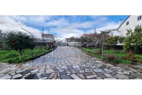 Villa i Castelo Branco, Castelo Branco, Castelo Branco - € 450.000 | Ref: CAS_185 - foto 43