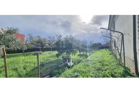 Villa i Castelo Branco, Castelo Branco, Castelo Branco - € 450.000 | Ref: CAS_185 - foto 48