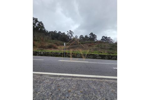 Terra a Cinfaes, Braga, Cinfaes - € 240.000 | Ref: EG-016 - foto 3