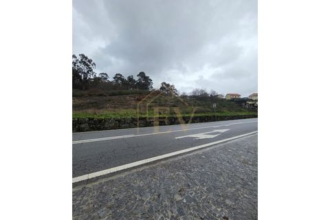 Terra a Cinfaes, Braga, Cinfaes - € 240.000 | Ref: EG-016 - foto 4