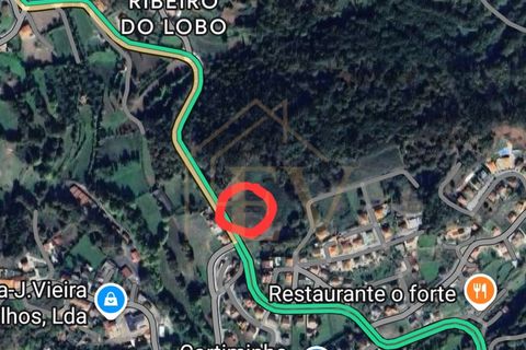 Terra a Cinfaes, Braga, Cinfaes - € 240.000 | Ref: EG-016 - foto 5
