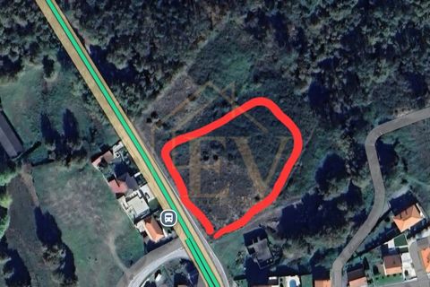 Terra a Cinfaes, Braga, Cinfaes - € 240.000 | Ref: EG-016 - foto 7