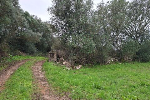 Helårsgrund i Sintra, Lisbon, Sintra - € 450.000 | Ref: KWPT-024527 - foto 4