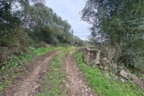 Helårsgrund i Sintra, Lisbon, Sintra - € 450.000 | Ref: KWPT-024527 - foto 5