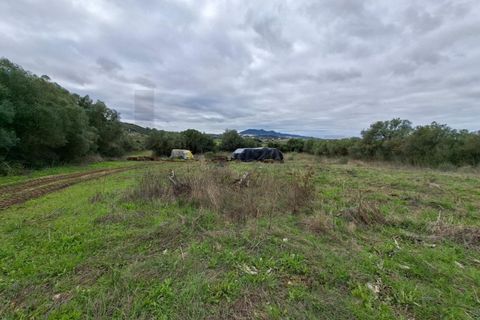 Helårsgrund i Sintra, Lisbon, Sintra - € 450.000 | Ref: KWPT-024527 - foto 8