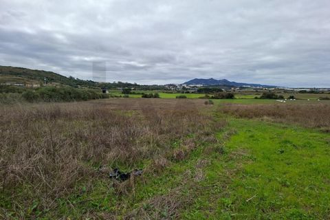 Helårsgrund i Sintra, Lisbon, Sintra - € 450.000 | Ref: KWPT-024527 - foto 10