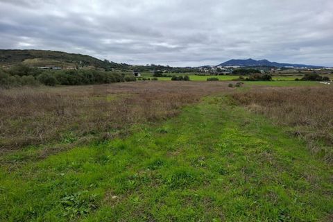 Helårsgrund i Sintra, Lisbon, Sintra - € 450.000 | Ref: KWPT-024527 - foto 11