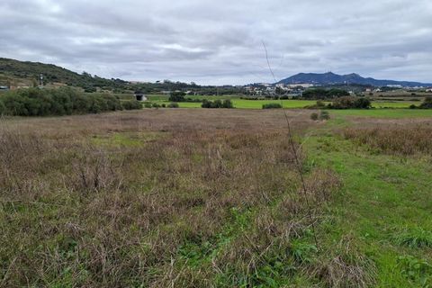 Helårsgrund i Sintra, Lisbon, Sintra - € 450.000 | Ref: KWPT-024527 - foto 12