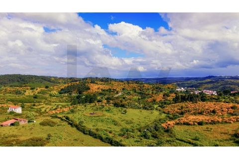 Terra a Gaviao, Portalegre, Gaviao - € 77.000 | Ref: KWPT-025546 - foto 2