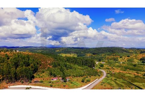 Terra a Gaviao, Portalegre, Gaviao - € 77.000 | Ref: KWPT-025546 - foto 3