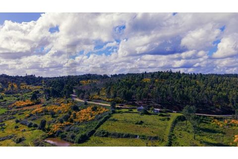 Terra a Gaviao, Portalegre, Gaviao - € 77.000 | Ref: KWPT-025546 - foto 5