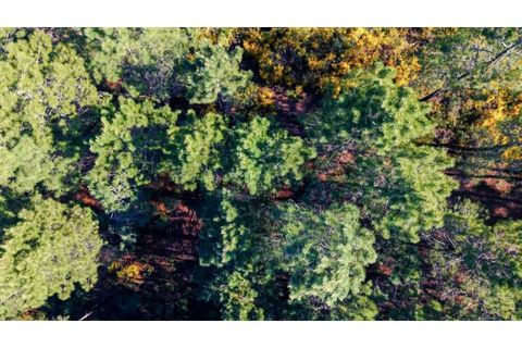 Terra a Gaviao, Portalegre, Gaviao - € 77.000 | Ref: KWPT-025546 - foto 8