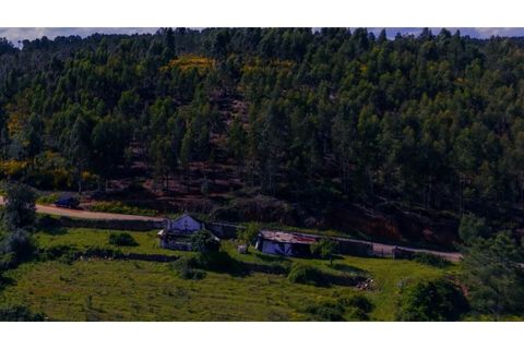 Terra a Gaviao, Portalegre, Gaviao - € 77.000 | Ref: KWPT-025546 - foto 12