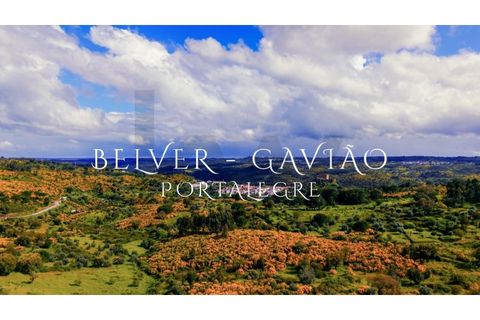 Terra a Gaviao, Portalegre, Gaviao - € 77.000 | Ref: KWPT-025546 - foto 15