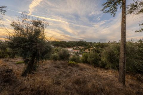 Villa a Gaviao, Portalegre, Gaviao - € 183.700 | Ref: KWPT-025544 - foto 31