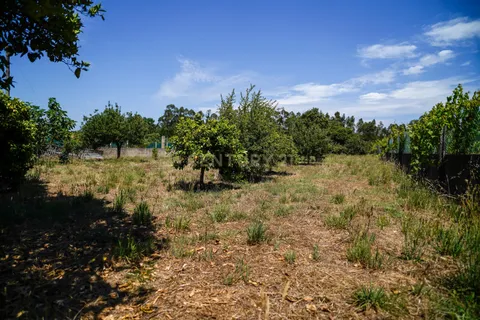 Villa i Cantanhede, Coimbra, Cantanhede - € 249.000 | Ref: C0364-04398 - foto 20