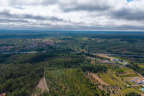 Helårsgrund i Mealhada, Aveiro, Mealhada - € 43.900 | Ref: C0364-04784 - foto 1