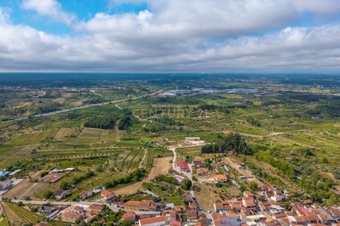 Helårsgrund i Mealhada, Aveiro, Mealhada - € 43.900 | Ref: C0364-04784 - foto 5