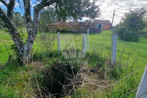 Ruinere i Castelo Branco, Castelo Branco, Castelo Branco - € 44.000 | Ref: H768 - foto 10