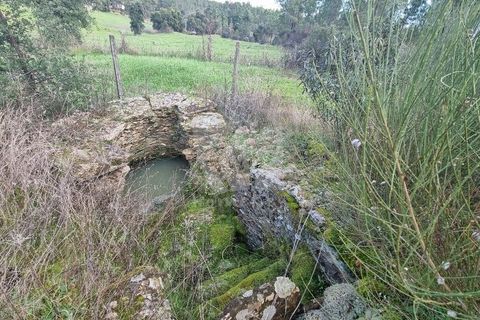 Ruinere i Castelo Branco, Castelo Branco, Castelo Branco - € 44.000 | Ref: H768 - foto 11