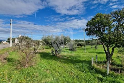 Ruinere i Castelo Branco, Castelo Branco, Castelo Branco - € 44.000 | Ref: H768 - foto 13