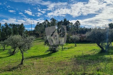 Ruinere i Castelo Branco, Castelo Branco, Castelo Branco - € 44.000 | Ref: H768 - foto 14