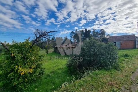 Ruinere i Castelo Branco, Castelo Branco, Castelo Branco - € 44.000 | Ref: H768 - foto 15