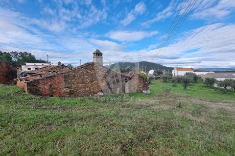 Ruinere i Castelo Branco, Castelo Branco, Castelo Branco - € 44.000 | Ref: H768 - foto 16