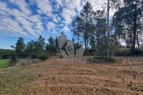 Ruinere i Castelo Branco, Castelo Branco, Castelo Branco - € 44.000 | Ref: H768 - foto 17