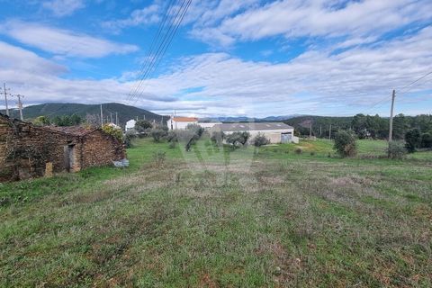 Ruinere i Castelo Branco, Castelo Branco, Castelo Branco - € 44.000 | Ref: H768 - foto 18