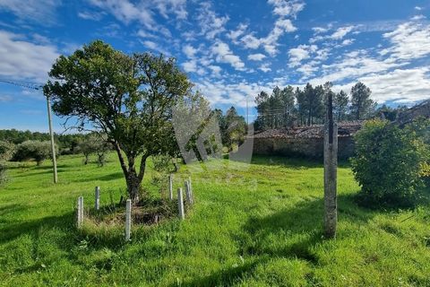Ruinere i Castelo Branco, Castelo Branco, Castelo Branco - € 44.000 | Ref: H768 - foto 19