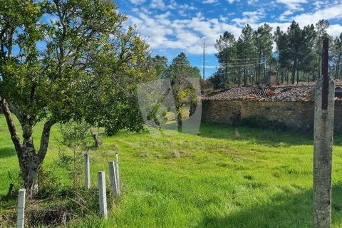 Ruinere i Castelo Branco, Castelo Branco, Castelo Branco - € 44.000 | Ref: H768 - foto 20
