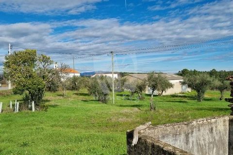 Ruinere i Castelo Branco, Castelo Branco, Castelo Branco - € 44.000 | Ref: H768 - foto 21