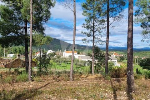 Ruinere i Castelo Branco, Castelo Branco, Castelo Branco - € 44.000 | Ref: H768 - foto 22