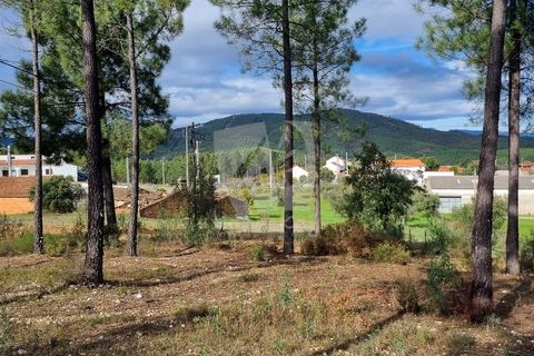 Ruinere i Castelo Branco, Castelo Branco, Castelo Branco - € 44.000 | Ref: H768 - foto 23