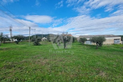 Ruinere i Castelo Branco, Castelo Branco, Castelo Branco - € 44.000 | Ref: H768 - foto 25