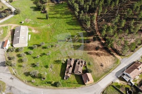 Ruinere i Castelo Branco, Castelo Branco, Castelo Branco - € 44.000 | Ref: H768 - foto 27