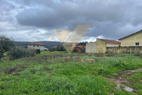Helårsgrund i Coimbra, Coimbra, Coimbra - € 120.000 | Ref: SÒL_12 - foto 4