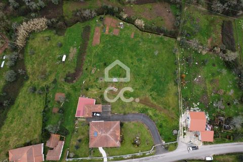 Villa i Ansiao, Leiria, Ansiao - € 380.000 | Ref: 385/M/00999 - foto 4