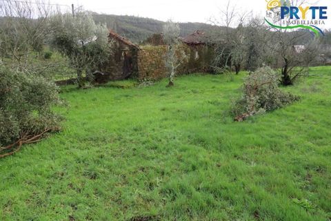 Landejendom i Serta, Castelo Branco, Serta - € 42.500 | Ref: IS02 - foto 4